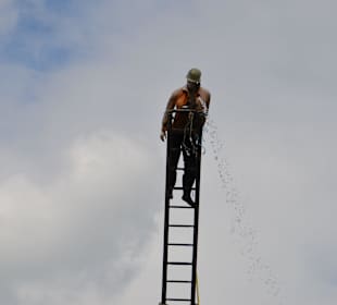 Irrland Bauernhof-Erlebnisoase