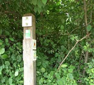 Premiumspazierweg Früchtetrauf-Leisawegle