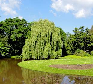 Blick von der Brücke auf Wasser und Insel