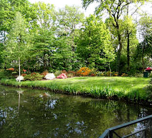 Spaziergang durch den Rhododendronpark im Mai