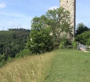 Burgruine Niederhaus