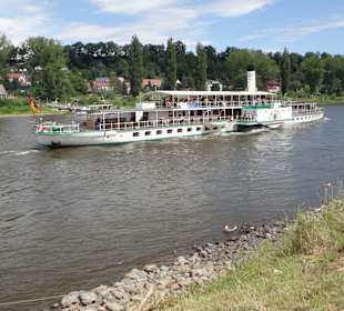 Mit dem Raddampfer nach Pirna