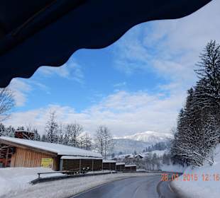 Pferdeschlittenfahrt