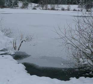 Im Winter