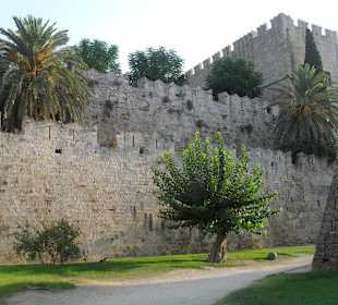 Alejki i ogród Palacu Mistrzów