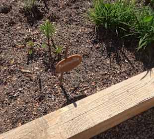 Arzneipflanzengarten Klosterreichenbach