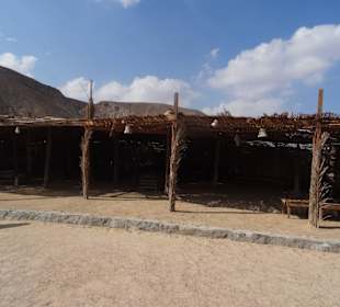 Bei den Beduinen, Nähe von El Gouna