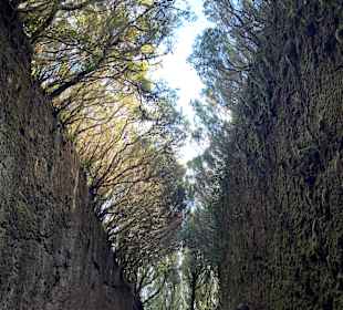 Wandern Puerto de la Cruz