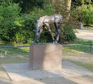 Hofgarten Düsseldorf