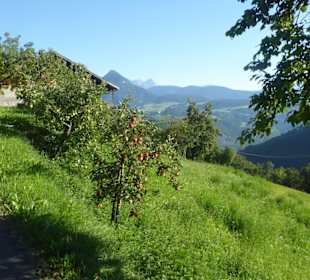 Wanderweg Keschtnweg