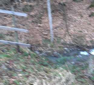 Wanderung rund um den Ochsenweiher