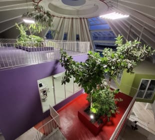 Einst Mausoleum, jetzt Kulturzentrum