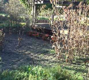 Botanischer Garten