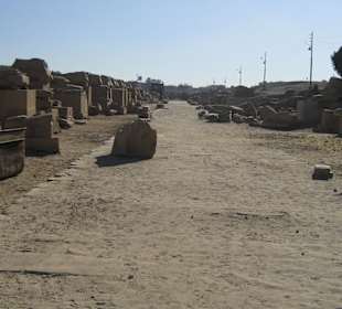 Sphinx Allee Richtung Tempel Mut