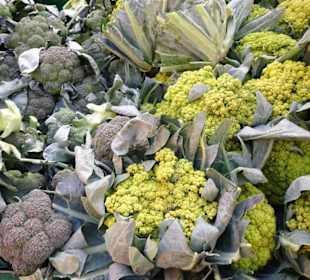 Eindrücke vom Wochenmarkt Südermarkt