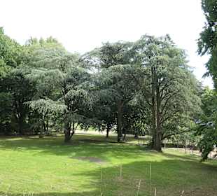 Unterwegs im Stadtgarten von Aachen