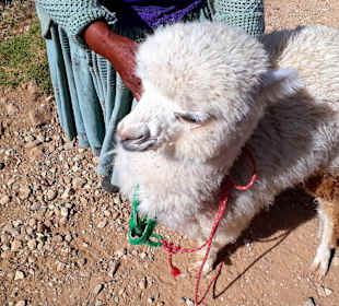 Wandern Isla del Sol