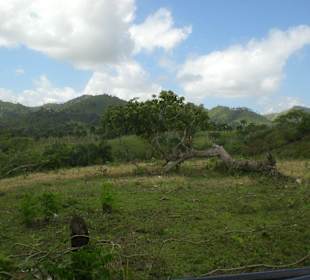 Truck Safarie mit RH.