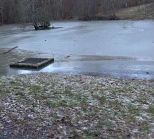 Wanderung rund um den Ochsenweiher
