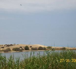 Dünen von Maspalomas