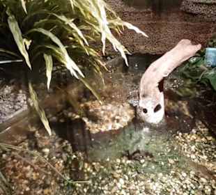 Exotarium