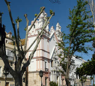 Wunderbare Altstadt Cadiz