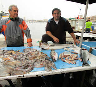 Fischmarkt frisch vom Kutter