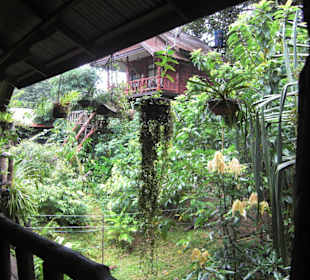 Baumhaus Khao Sok Nationalpark