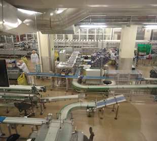 Fabryka czekolady Wedla