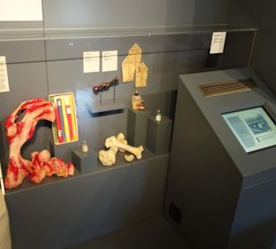 Alte Knochenkocherei im Pfalzmuseum Forchheim