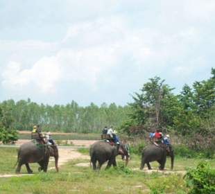 Elefantenritt