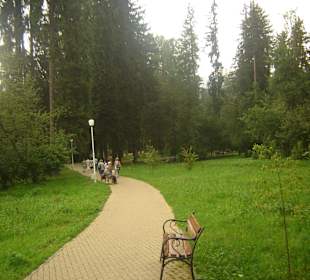 Parcul Central Vatra Dornei