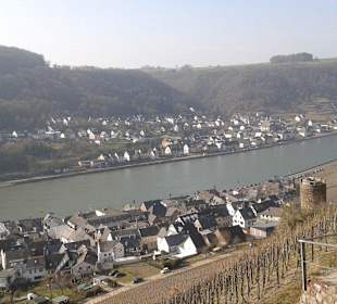 Moselblick vom Turm