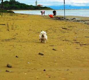 Ende September 2010 Inspirationen