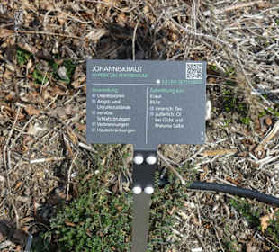 Hinweistafel zum eingepflanzten Kraut