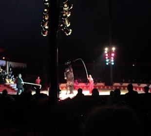 Landauer Weihnachtscircus 2015