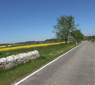 Historischer Rundgang Magolsheim