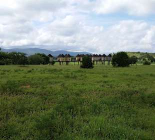 Sarova Salt Lick Game Lodge