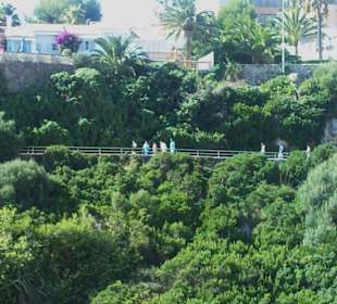 Blick auf den 'grünen' Bereich