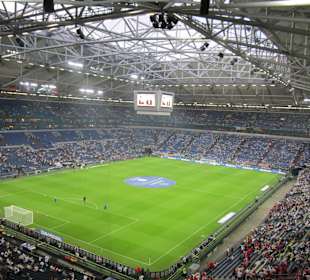 Veltins Arena