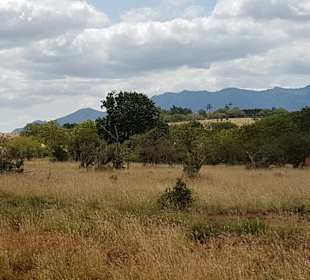 Erlebnisse und Wege der Safari