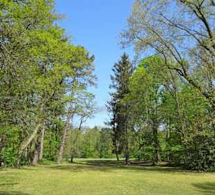 Eindrücke aus dem Prinz-Albrecht-Park