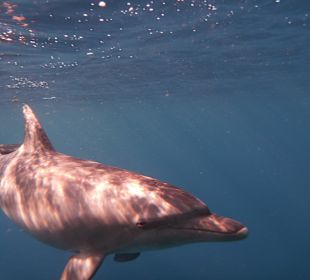 In Spiellaune waren alle