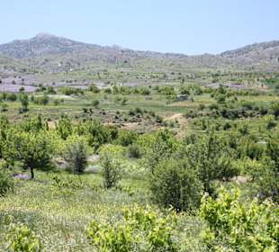 Katharo Hochebene