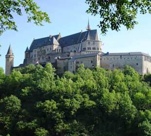 Blick auf das Château aus der Stadt Vianden