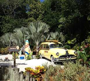 Disney's Typhoon Lagoon