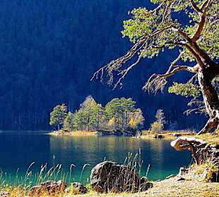 Eindrucksvolle Natur am See