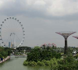 Gardens by the Bay