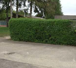 Tennisanlage TC Giengen