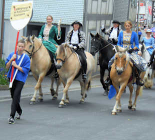 Schlitzer Trachtenfest